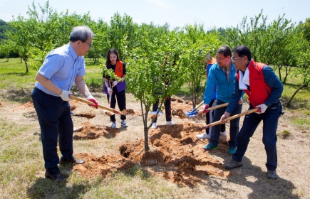 28/05/2018, des Rotariens de toute la Corée plantent des roses au musée de l'Indépendance à Cheonan